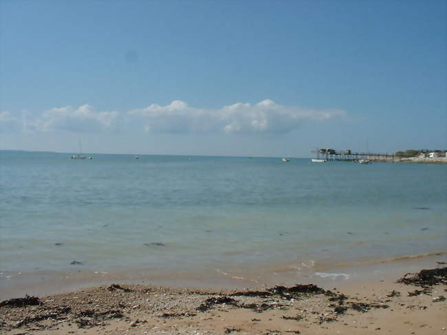 La plage d'Angoulins - Angoulins (17690) - Charente-Maritime