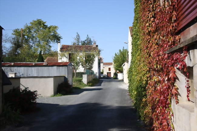 Rue d'Antezant-la-Chapelle - Antezant-la-Chapelle (17400) - Charente-Maritime