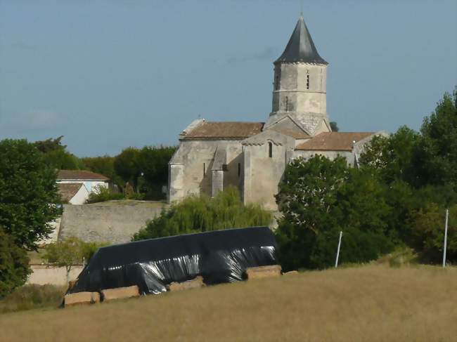 L'église Saint-Martin, sur son promontoire, domine le village - Arces (17120) - Charente-Maritime