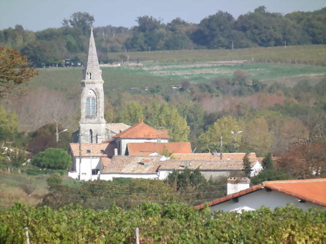Le village de Barzan vu des vignobles environnants - Barzan (17120) - Charente-Maritime