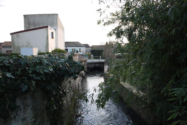 Le Sureau à Bernay - Bernay-Saint-Martin (17330) - Charente-Maritime