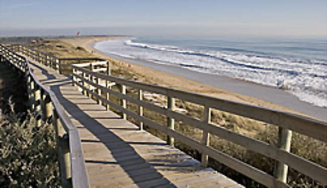 Promenade aménagée au bord de l'océan - Le Bois-Plage-en-Ré (17580) - Charente-Maritime