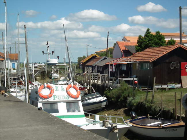 Le port ostréicole de Chatressac - Chaillevette (17890) - Charente-Maritime