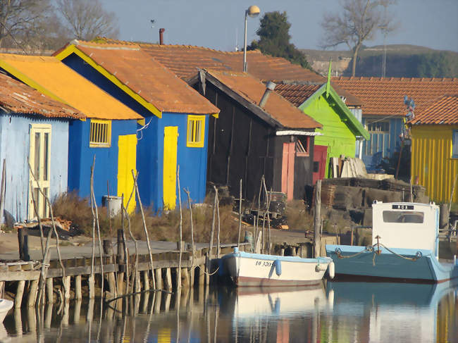 Les cabanes ostréicoles sont peintes de couleurs vives - Le Château-d'Oléron (17480) - Charente-Maritime