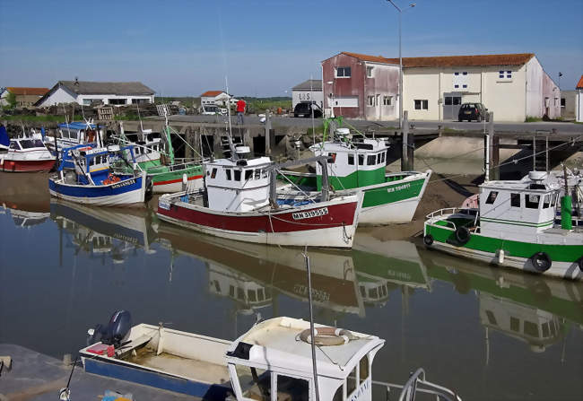 Repas sur le port