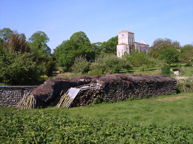 L'église vue de l'est - Lozay (17330) - Charente-Maritime