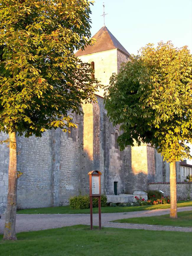 Église Saint-Sulpice de Montils, XIIe siècle - Montils (17800) - Charente-Maritime
