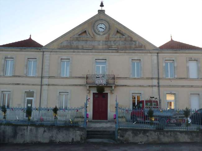 Bain de forêt