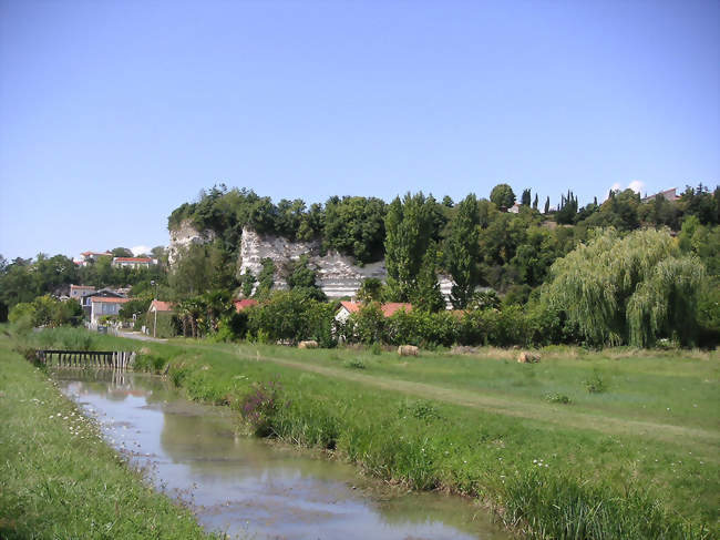 Les falaises mortes, non loin du port de plaisance - Mortagne-sur-Gironde (17120) - Charente-Maritime