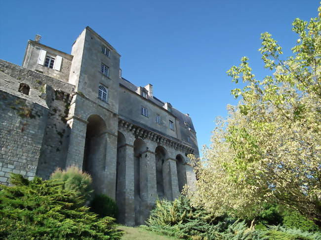 Le château des Sires de Pons (XVIIe) abrite l\'hôtel de ville. - Pons (17800) - Crédit photo: Cobber17