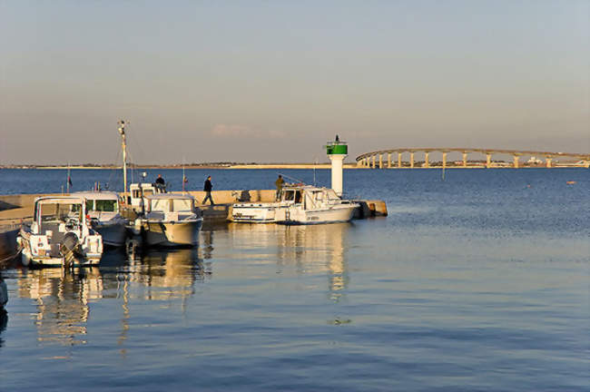 Le pont de l'île de Ré vu depuis le port - Rivedoux-Plage (17940) - Charente-Maritime