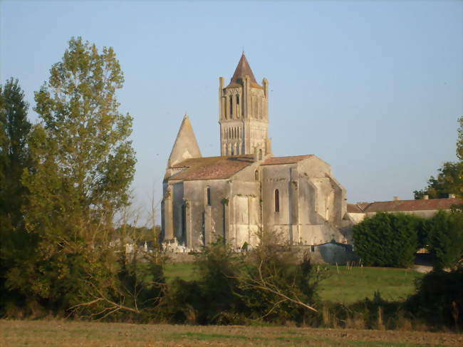 L'abbaye de Sablonceaux, fondée au XIIe siècle, dresse sa silhouette caractéristique au cur de la campagne saintongeaise - Sablonceaux (17600) - Charente-Maritime