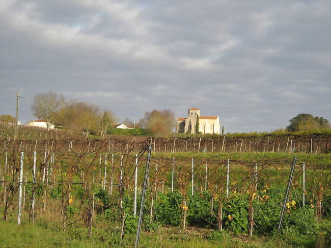 Vue de Saint-Eugène en décembre 2011 - Saint-Eugène (17520) - Crédit photo: Regissierra