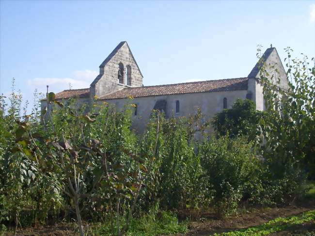 L'église Sainte-Radegonde - Sainte-Radegonde (17250) - Charente-Maritime