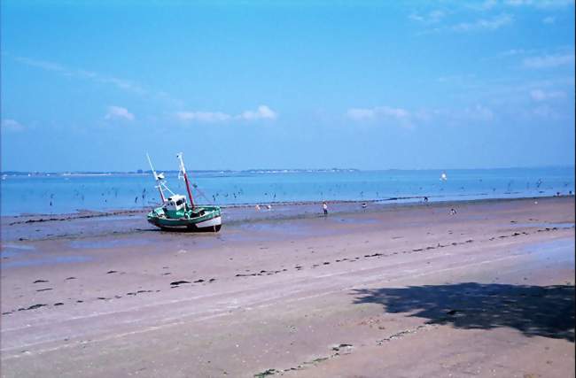 La côte à Saint-Trojan-les-Bains - Saint-Trojan-les-Bains (17370) - Charente-Maritime