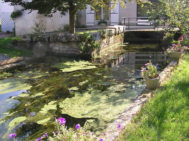 La Soloire à Sonnac - Sonnac (17160) - Charente-Maritime