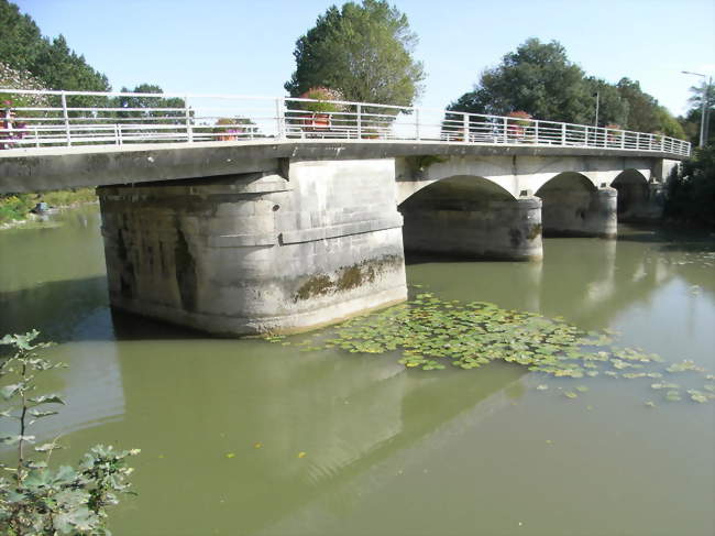 La Boutonne à Tonnay-Boutonne - Tonnay-Boutonne (17380) - Charente-Maritime