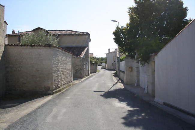 Rue de Vervant - Vervant (17400) - Charente-Maritime