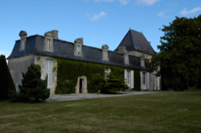 Le château de La Faye à Villexavier (17500) - Crédit photo: Mlsmathieu