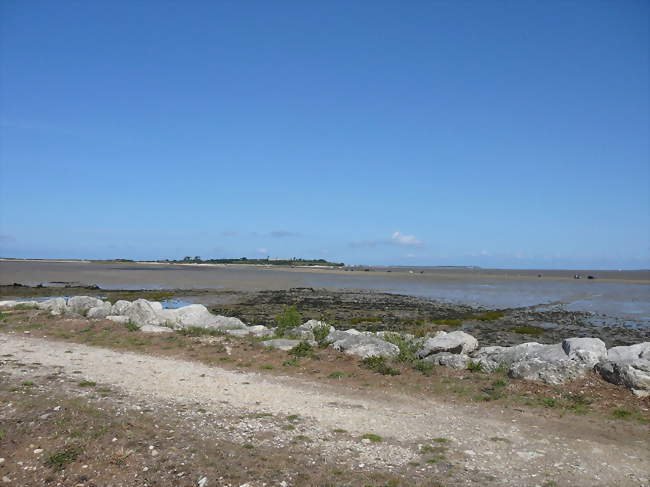 Le littoral à Port-des-Barques Au second plan, l'île Madame - Port-des-Barques (17730) - Charente-Maritime