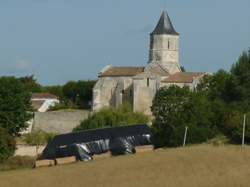 Brocante / Vide-greniers