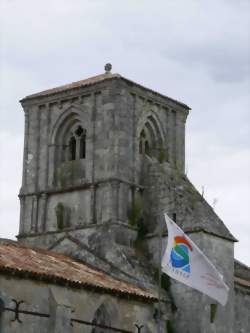 photo Encadrant / Encadrante de chantier d'insertion