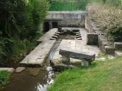 photo Visite guidée : Miel et histoire à Fontcouverte