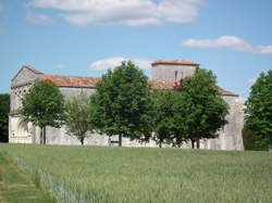 photo Fête de la Palut à Saint Léger