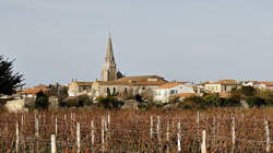 photo SORTIE LITTORAL - L'ESTRAN ANIMÉ OCTOBRE- NOVEMBRE