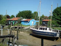 photo Exposition - Les peintres de Royan