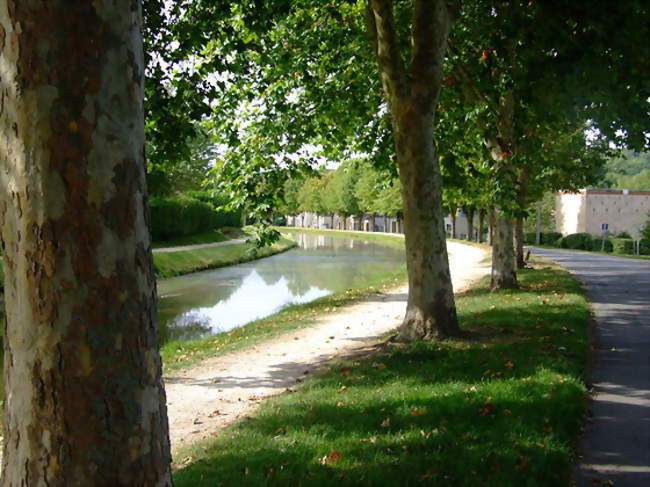 Le canal de Berry à Saint-Amand-Montrond - Saint-Amand-Montrond (18200) - Cher