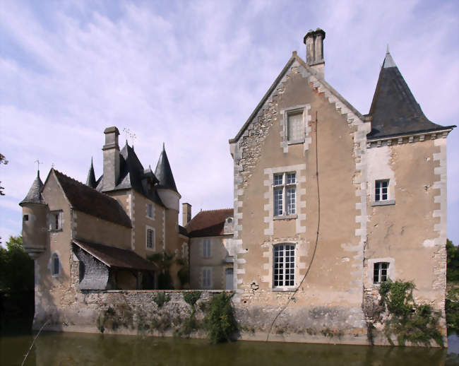 Château du Plaix - Saint-Hilaire-en-Lignières (18160) - Cher