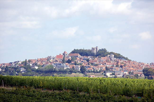 A vendre - Commerce bar, tabac, FDJ - Sancerre