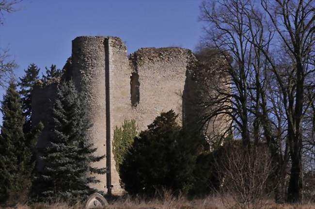 Ouvrier boulanger / Ouvrière boulangère