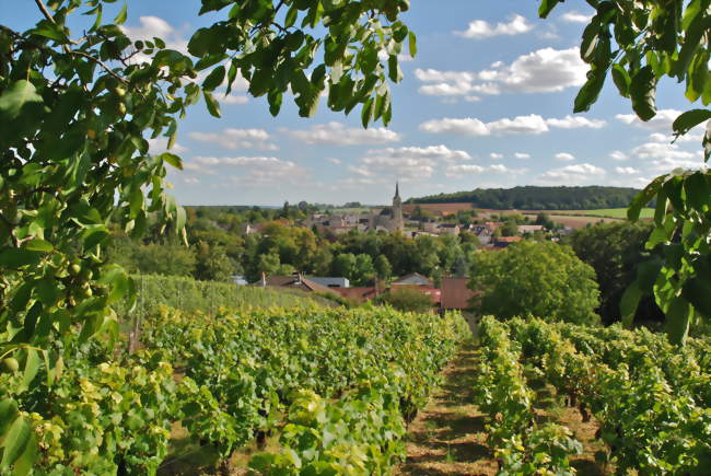 Veaugues paysage vallonné, vignes, cultures et forêt