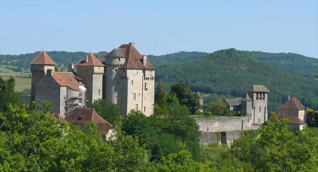 Vue d'ensemble du village - Curemonte (19500) - Corrèze