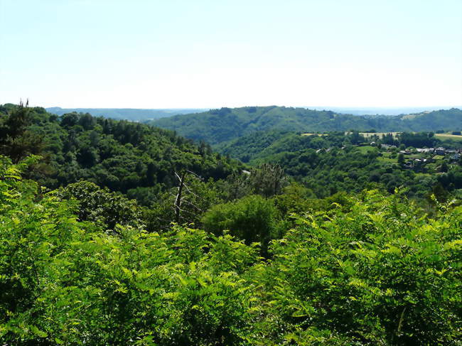 Les gorges du Coiroux - Palazinges (19190) - Corrèze