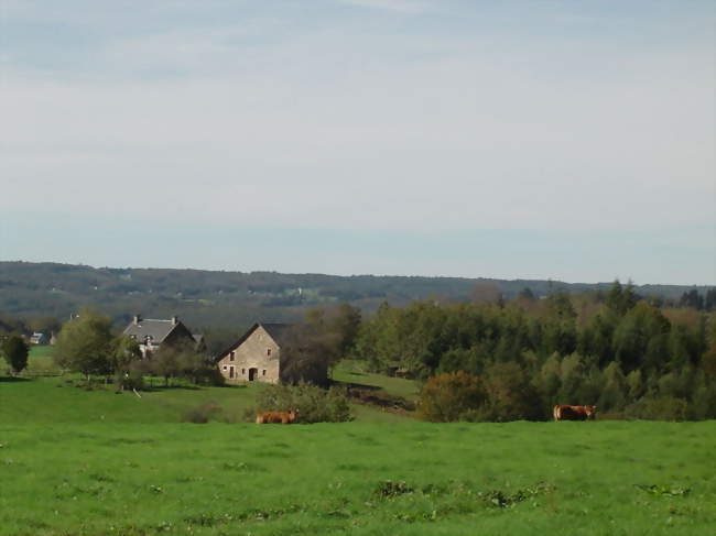 Le bourg - Saint-Pantaléon-de-Lapleau (19160) - Corrèze