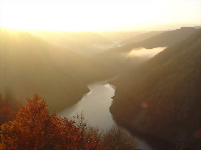 Découverte des rapaces des gorges de la Dordogne