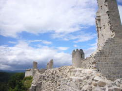 Fauconnerie au Château de Ventadour