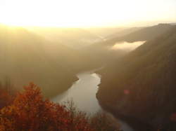 Découverte des rapaces des gorges de la Dordogne