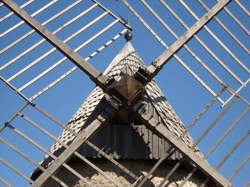 photo Ouvrier / Ouvrière de scierie