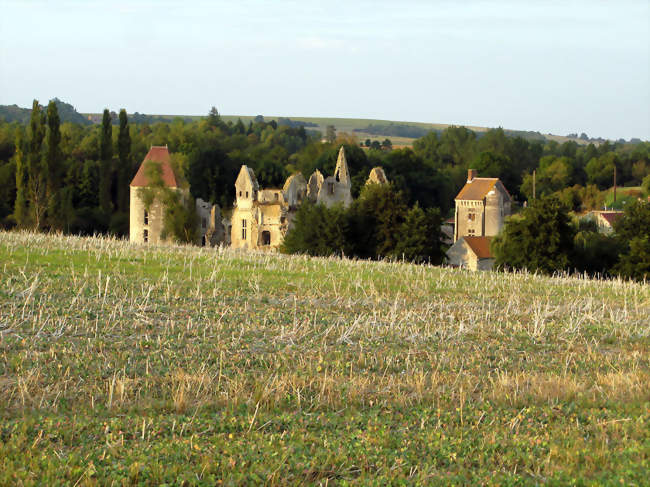 Vue du château - Armentières-sur-Ourcq (02210) - Aisne