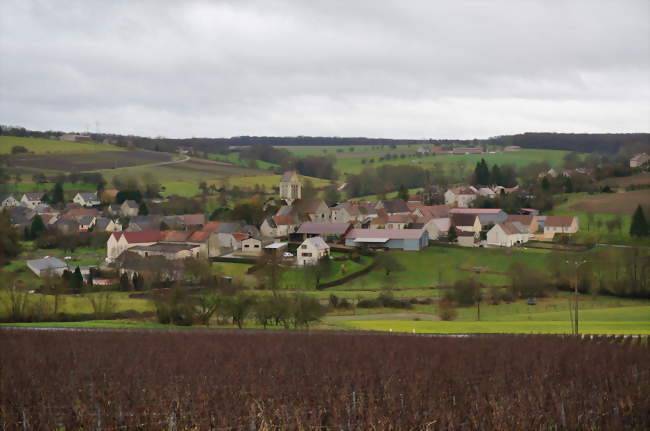 le village niché dans son vallon - La Chapelle-Monthodon (02330) - Aisne