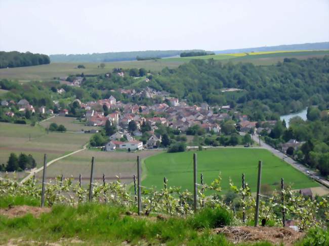Vignobles et village de Crouttes-sur-Marne - Crouttes-sur-Marne (02310) - Aisne