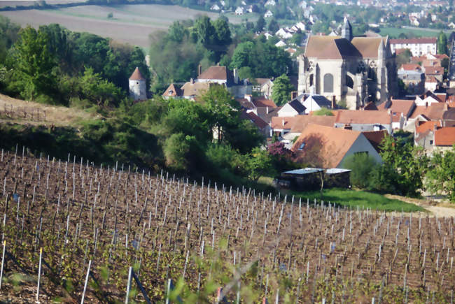 Marché des producteurs locaux - Essômes sur marne