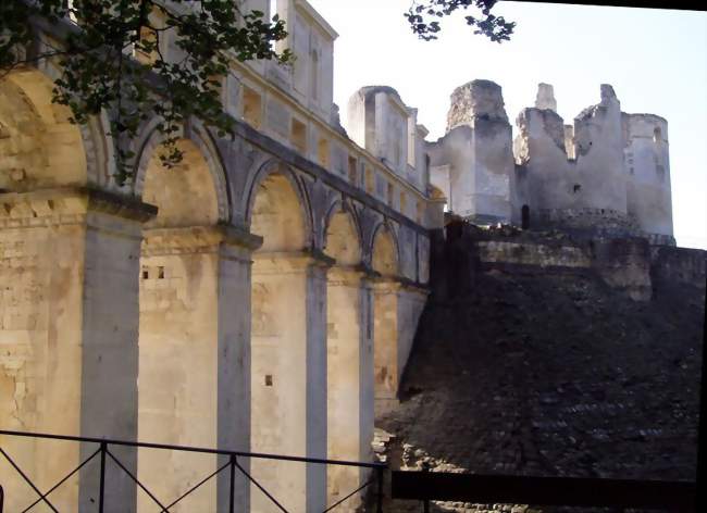 Vue des ruines du château de Fère - Fère-en-Tardenois (02130) - Aisne