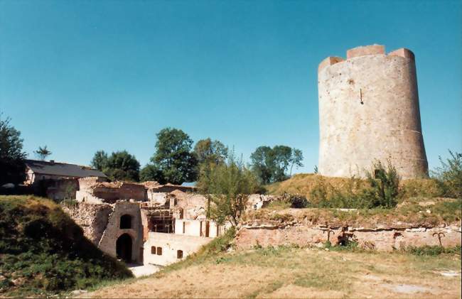 Vue du donjon de Guise depuis la basse cour du Château - Guise (02120) - Aisne