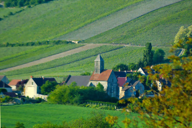 Le village de Monthurel au milieu du vignoble - Monthurel (02330) - Aisne