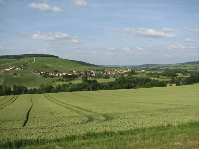 Vue de Passy-sur-Marne - Passy-sur-Marne (02850) - Aisne